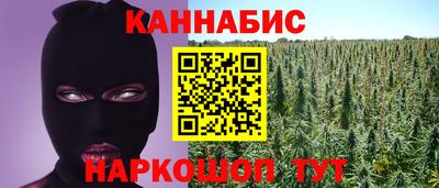 гашик Краснознаменск