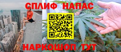 гашик Краснознаменск