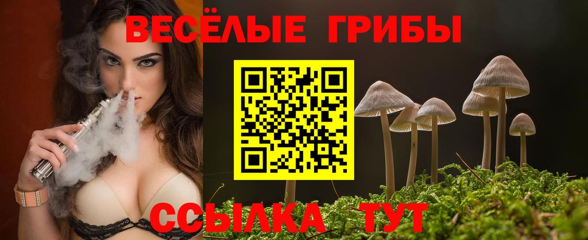 Галлюциногенные грибы мицелий  Вход с VPN  Заволжье 